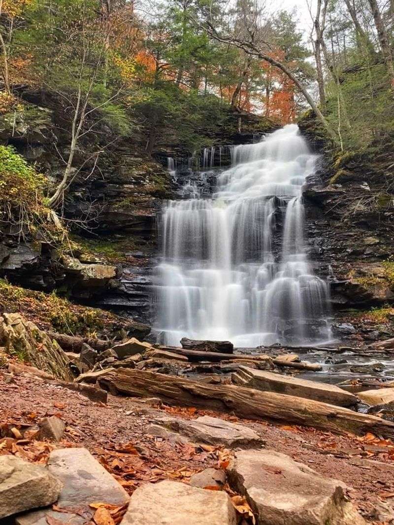 Ganoga Falls Steals The Show Ganoga Falls Steals The Show
