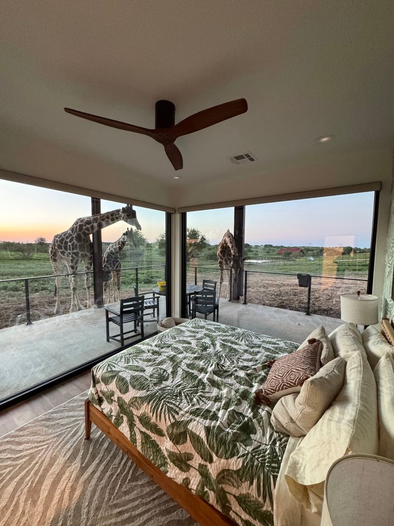 Giraffe Safari Villa Glass House Experience