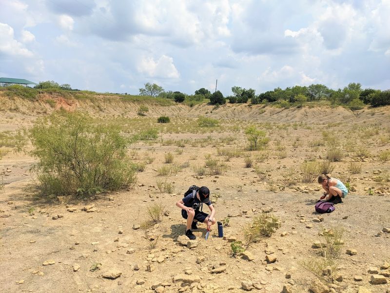 Go Fossil Hunting at Mineral Wells Fossil Park (Mineral Wells) Go Fossil Hunting at Mineral Wells Fossil Park (Mineral Wells)