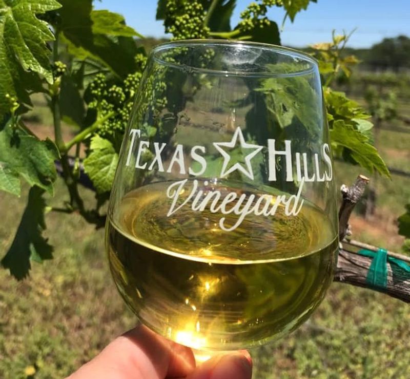 Go Wine Tasting In Texas Hill Country Go Wine Tasting In Texas Hill Country