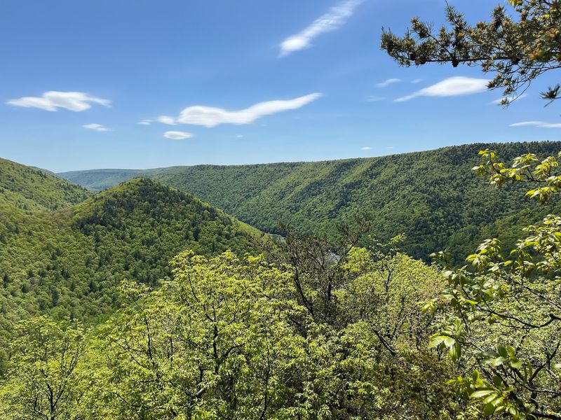 Golden Eagle Trail - Cammal, PA Golden Eagle Trail - Cammal, PA