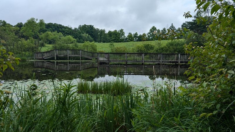Gorman Nature Center, Mansfield