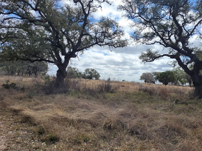 Government Canyon State Natural Area (San Antonio)