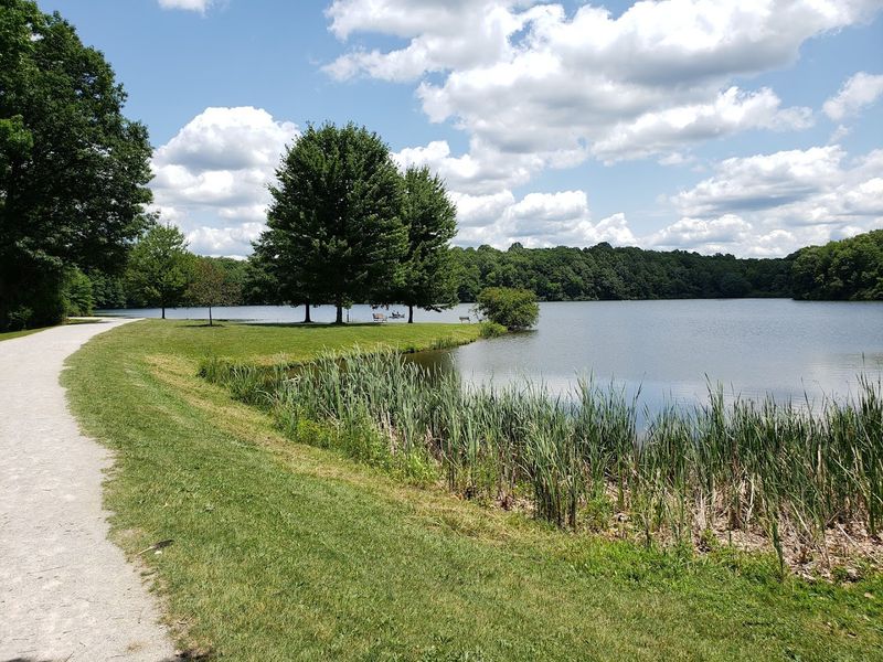 Green Spaces That Make Quiet Living Feel Real Green Spaces That Make Quiet Living Feel Real