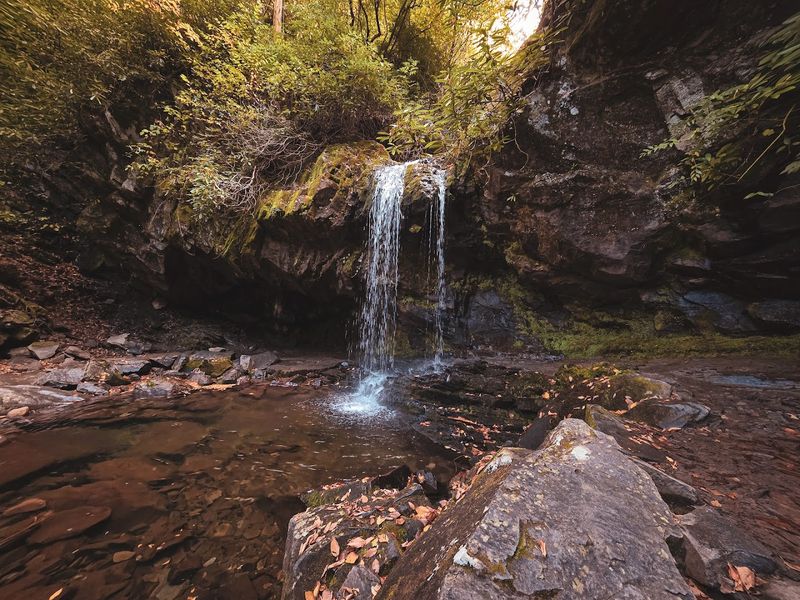 Grotto Falls Trail