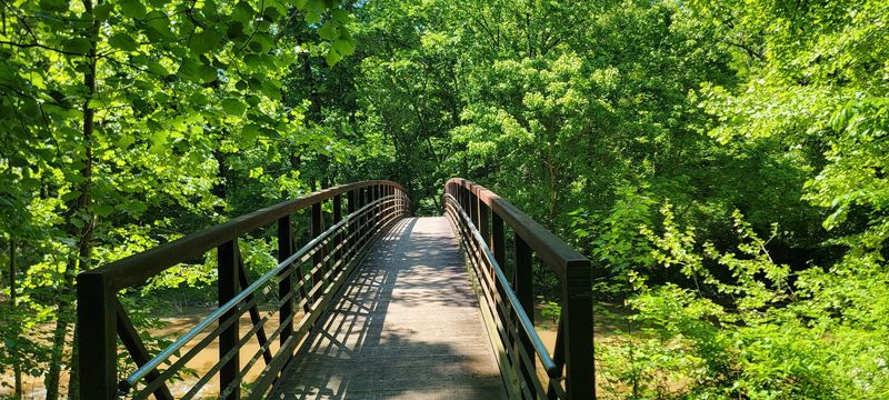 Summer Timing in Illinois Matters Here