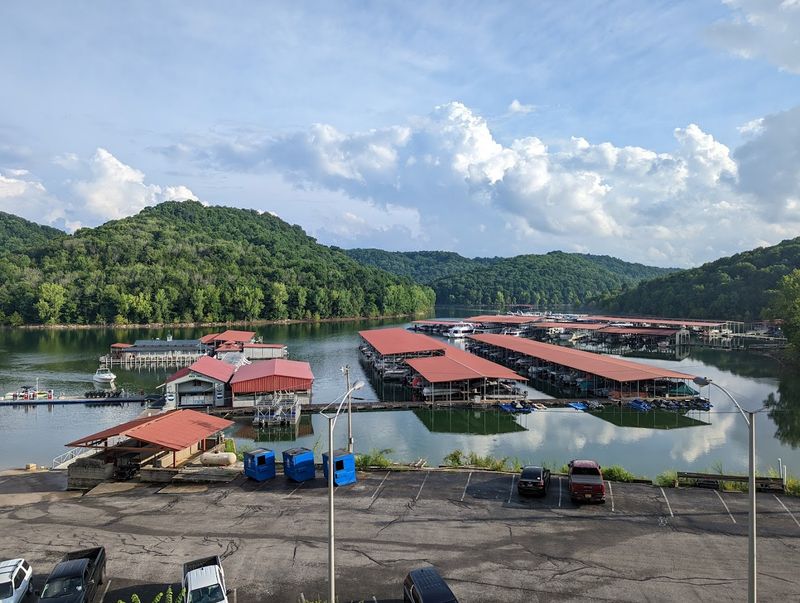Marina Services and Boat Rentals Marina Services and Boat Rentals