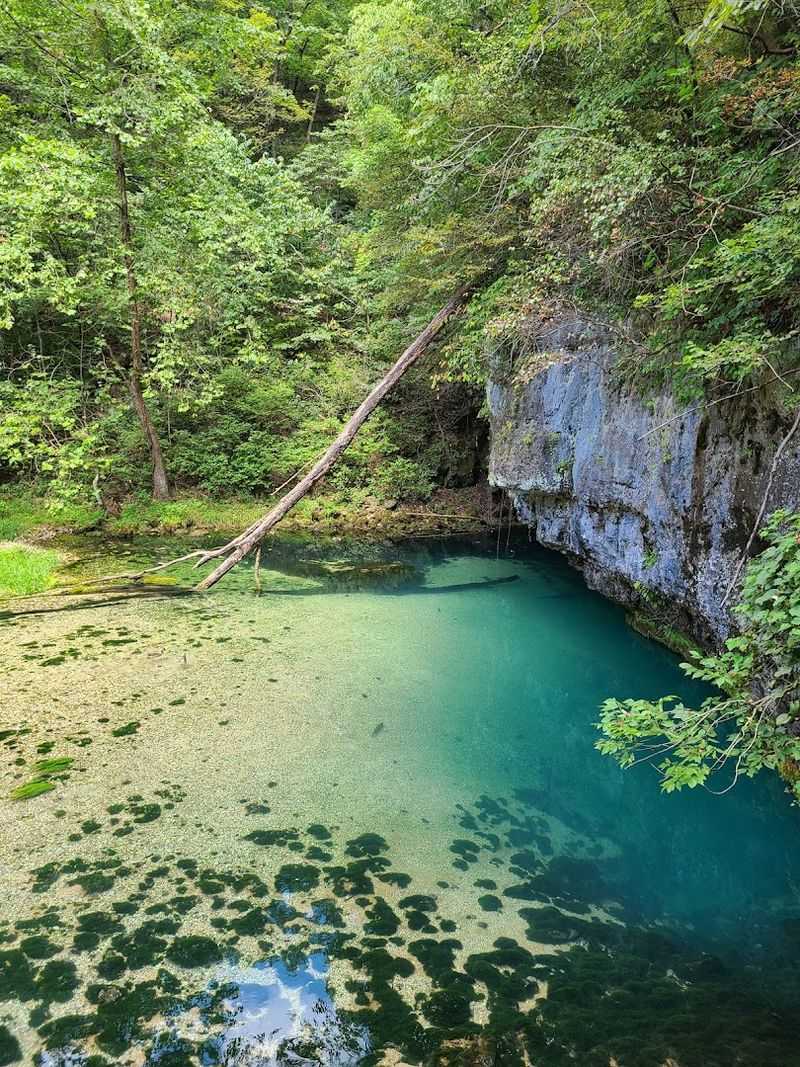 Ha Ha Tonka State Park (Camdenton)