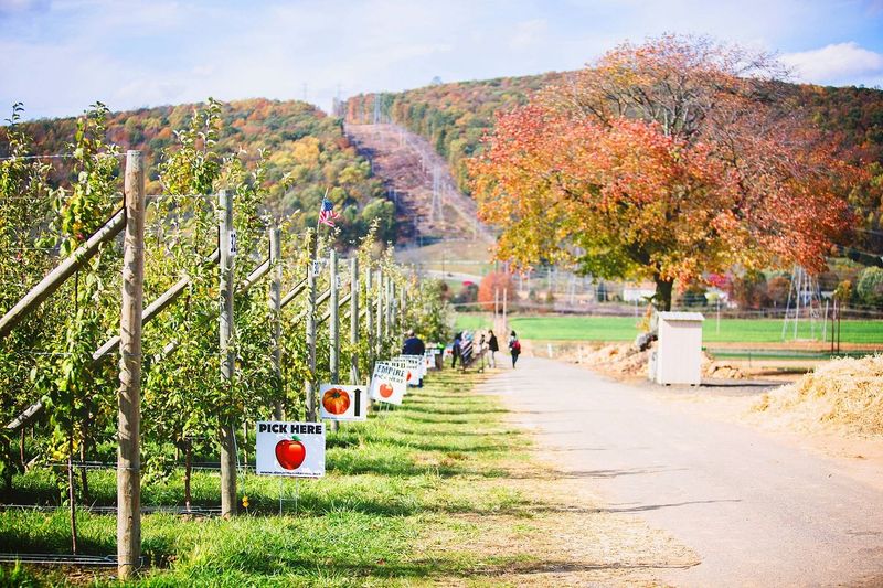 Hackettstown