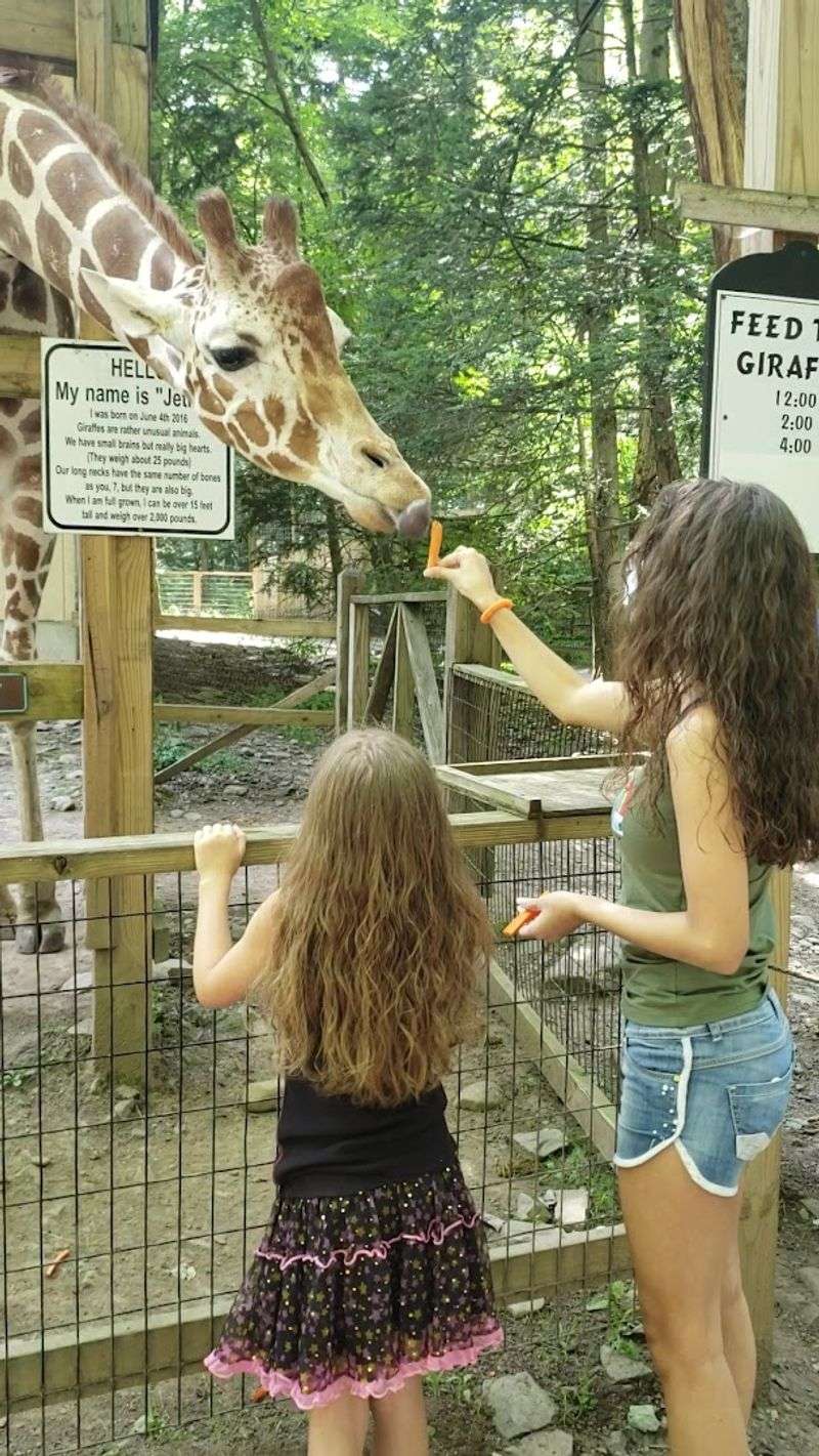 Hand-feeding experiences are the real highlight Hand-feeding experiences are the real highlight
