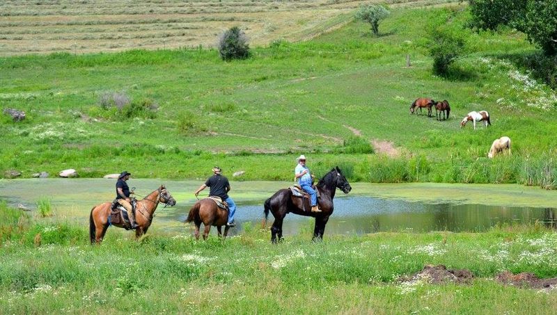 Happy Trails Stables — Waymart, Pennsylvania