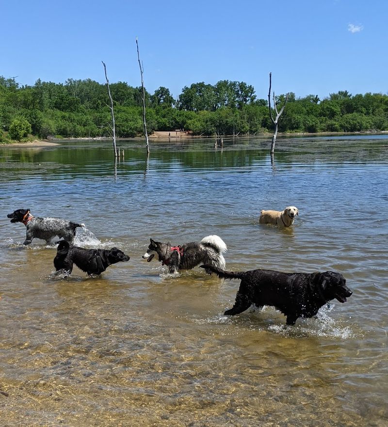 Independence Grove Off-Leash Dog Area (Libertyville)