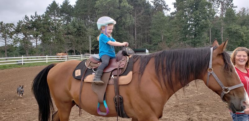 Healey's Outback Ranch