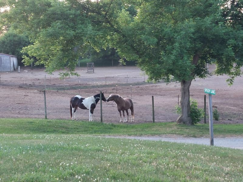 Hell Creek Ranch & Campground