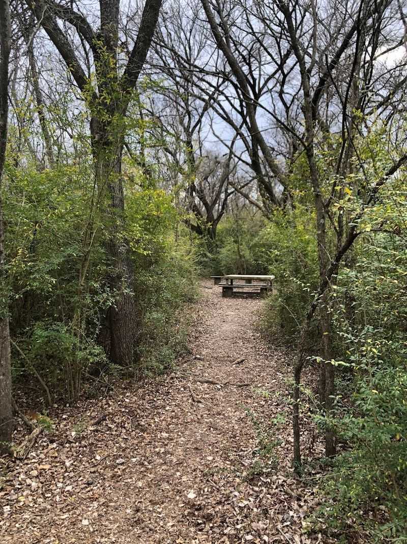 Hiking Trails Through Genuine Texas Wilderness Hiking Trails Through Genuine Texas Wilderness