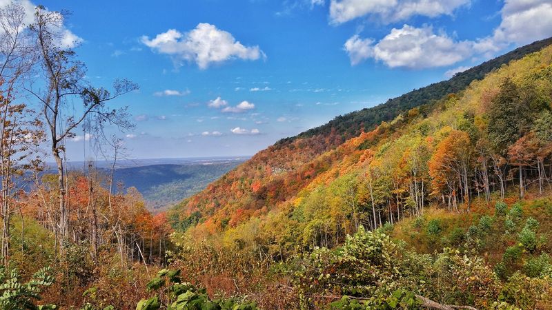 Hinch Mountain — Cumberland Trail