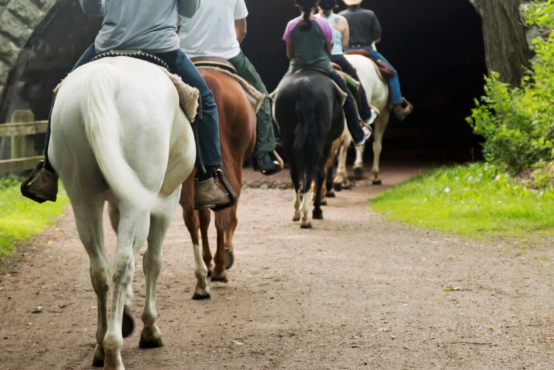 Hocking Hills Riding Stables Hocking Hills Riding Stables