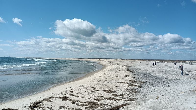Holgate Beach, Long Beach Township