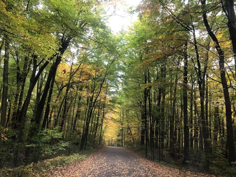 Holly State Recreation Area – Holly, MI Holly State Recreation Area – Holly, MI