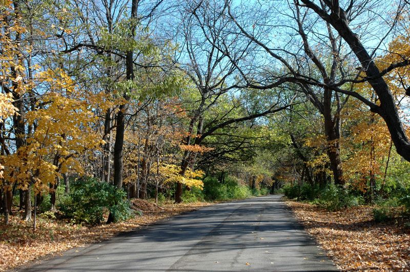 Horse trails and open space define the experience