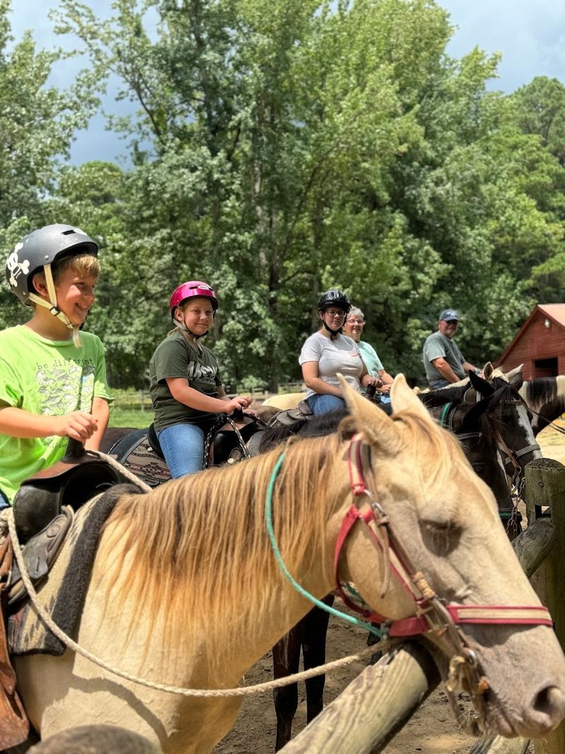 Horseback Riding Adventures Made Simple Horseback Riding Adventures Made Simple