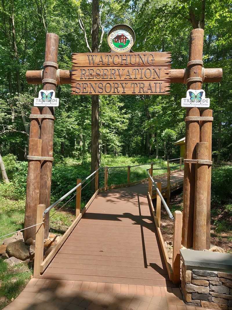How to Make the Most of a Visit to Watchung Reservation