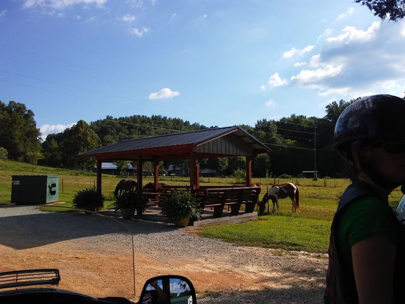 The Porch, Picnic Tables, and Easygoing Pace