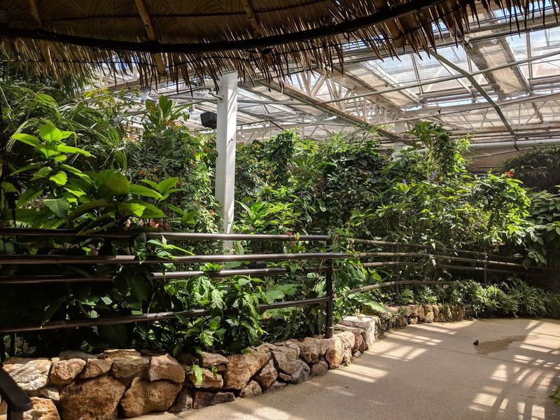 More Than Butterflies: The Invertebrate Detour That Sharpens the Visit More Than Butterflies: The Invertebrate Detour That Sharpens the Visit