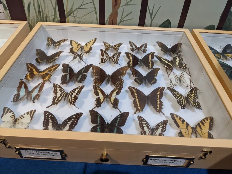 Insectropolis - Toms River Insectropolis - Toms River