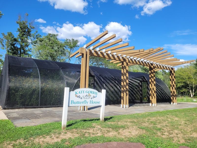 Inside the Kate Gorrie Butterfly House where native butterflies take center stage Inside the Kate Gorrie Butterfly House where native butterflies take center stage