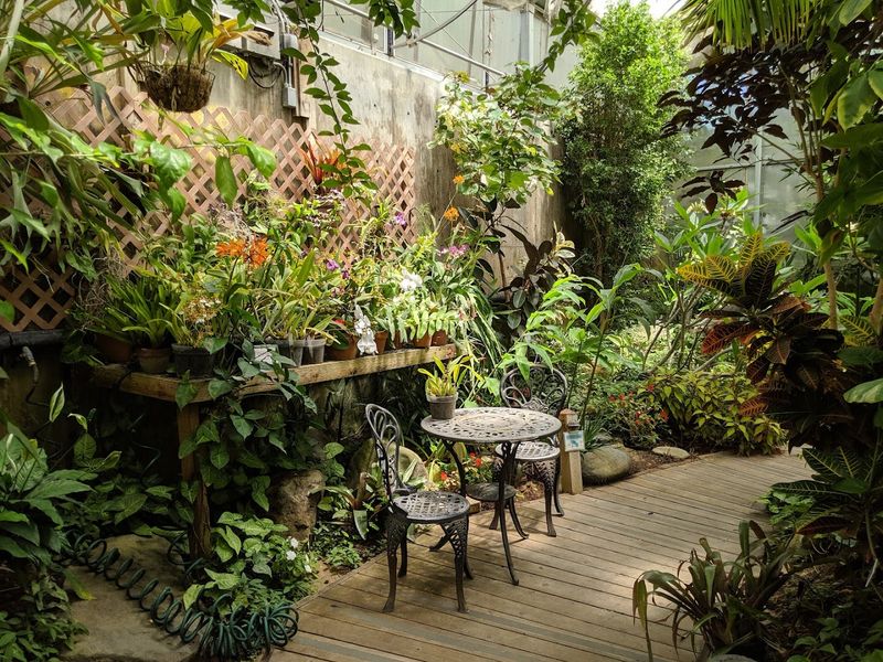 Why This Garden Feels So Connected to Grand Junction