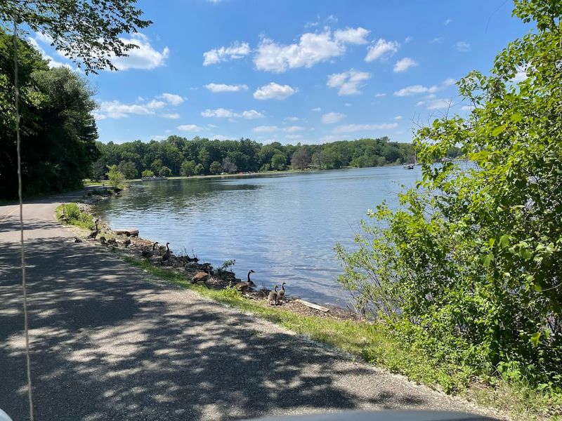 Island Lake Recreation Area