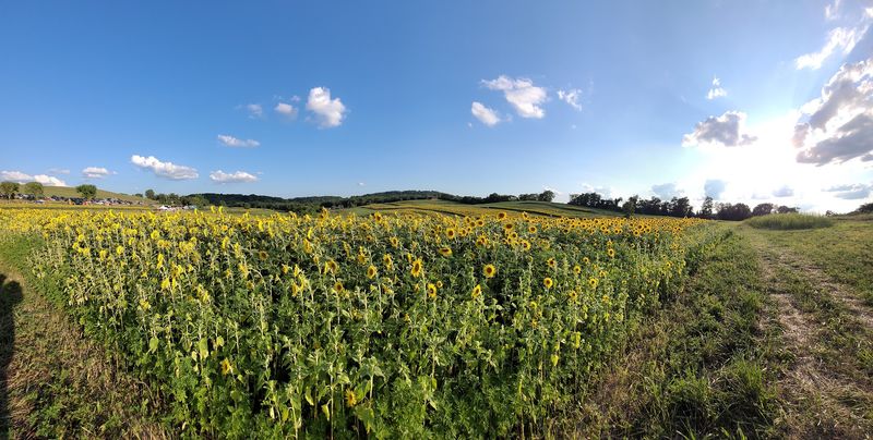 It is one of the best photo spots near Pittsburgh
