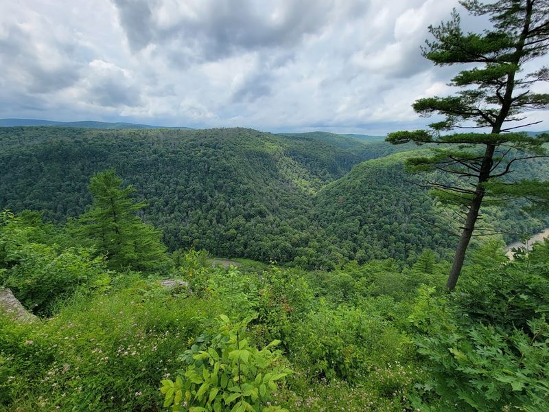 It is one of the most rewarding stops you can make near Wellsboro