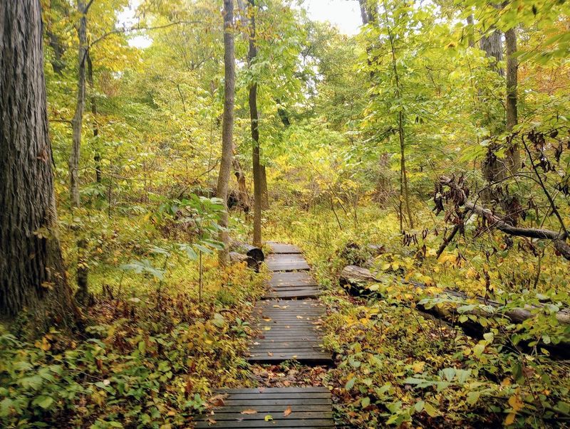 Why This Short Hike Punches Far Above Its Length Why This Short Hike Punches Far Above Its Length