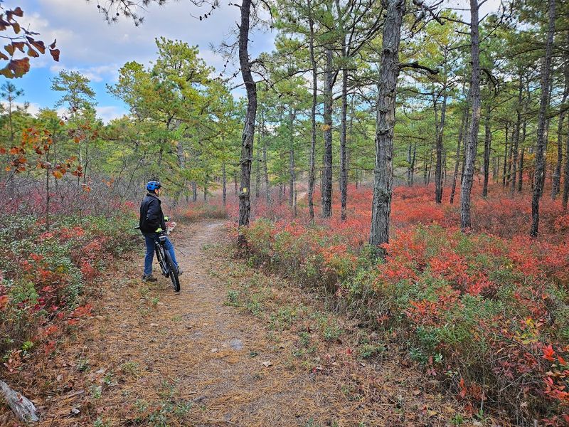 Jakes Branch County Park - Beachwood Jakes Branch County Park - Beachwood