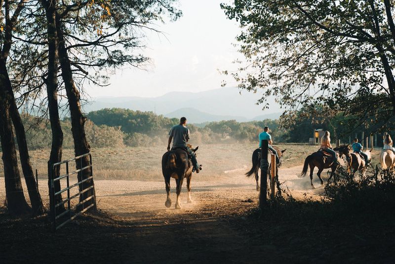 Jayell Ranch — Sevierville Jayell Ranch — Sevierville
