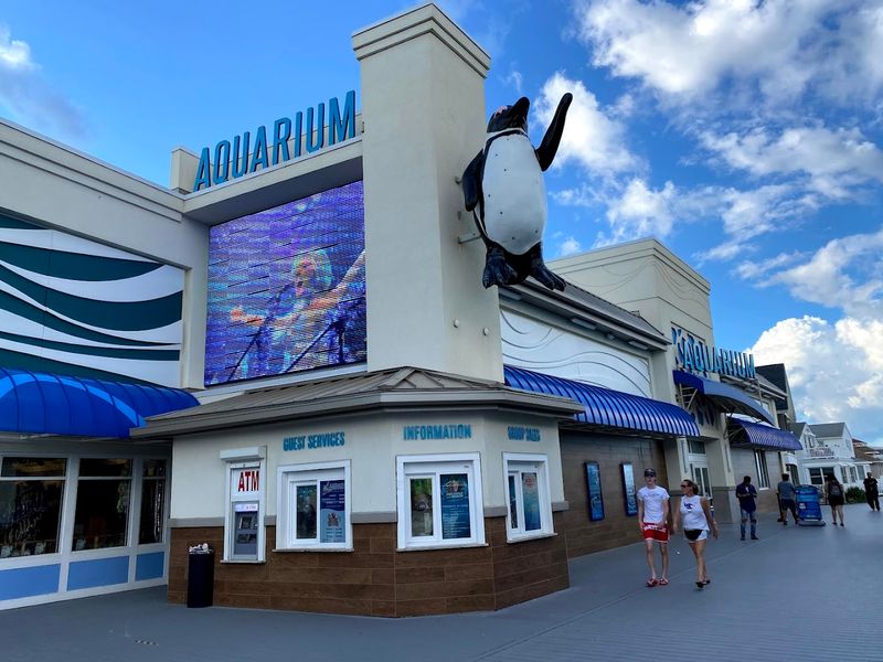 Jenkinson’s Aquarium, Point Pleasant Beach