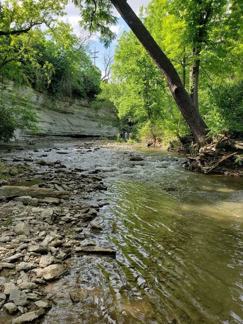 Where 440-Million-Year-Old Finds Become the Main Attraction Where 440-Million-Year-Old Finds Become the Main Attraction