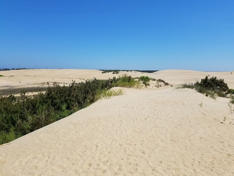 Jockey’s Ridge State Park