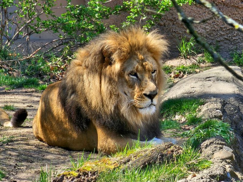 John Ball Zoo — Grand Rapids