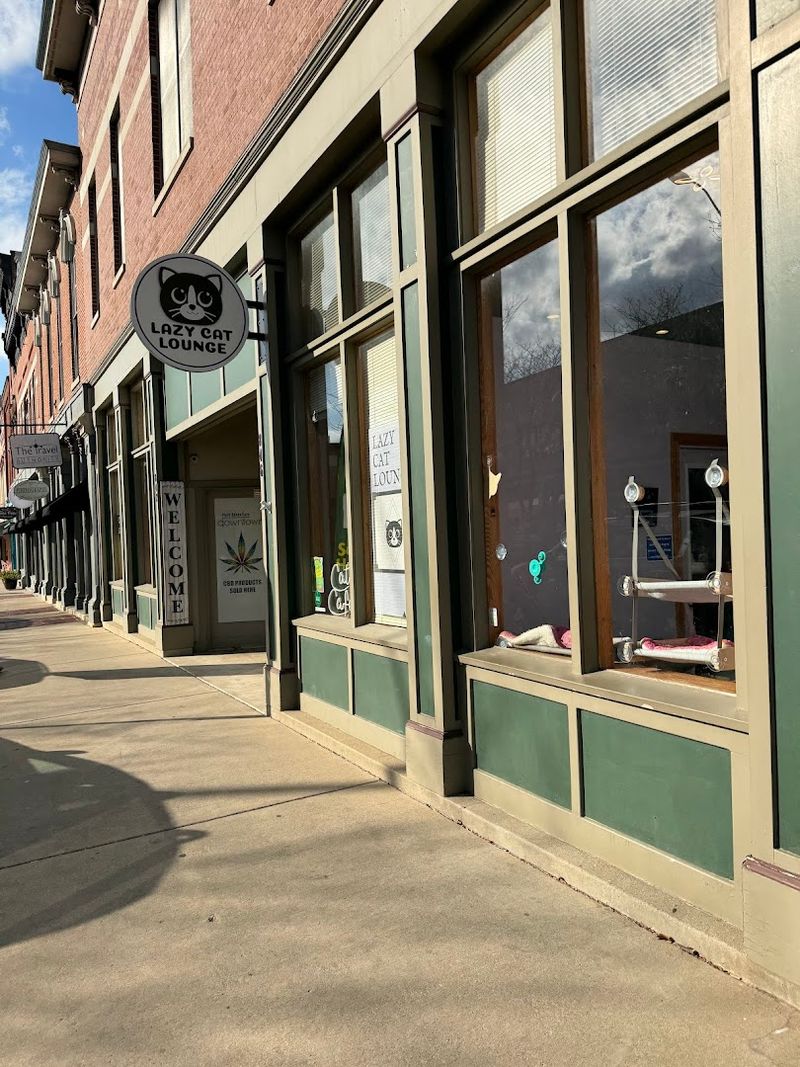 Lazy Cat Lounge (Lafayette)