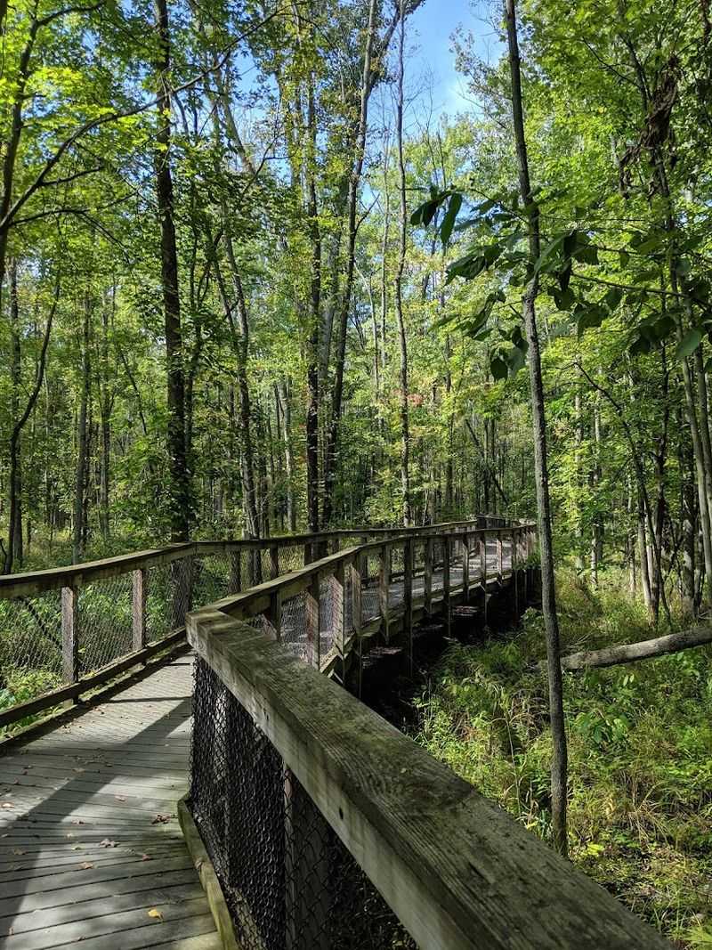 Kanyoo Trail and the joy of an easy boardwalk walk