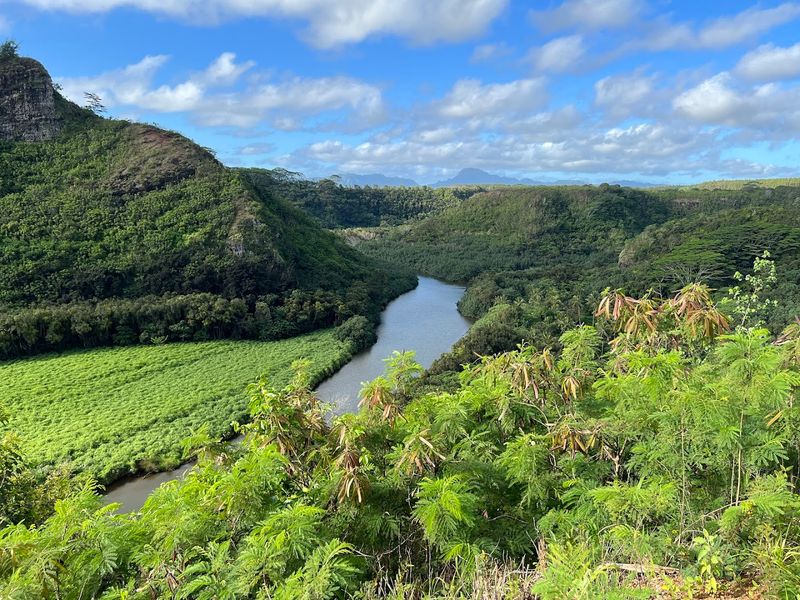 Kapaa Kapaa