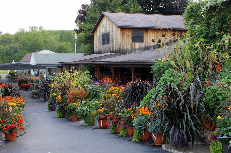 Kerr Home & Garden