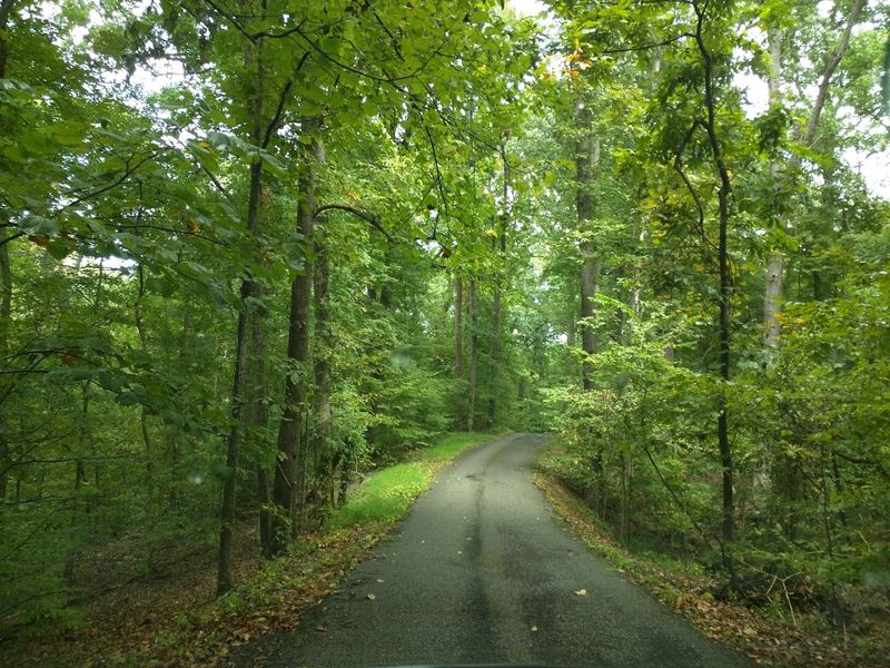 Meeman-Shelby Forest State Park — Millington Meeman-Shelby Forest State Park — Millington