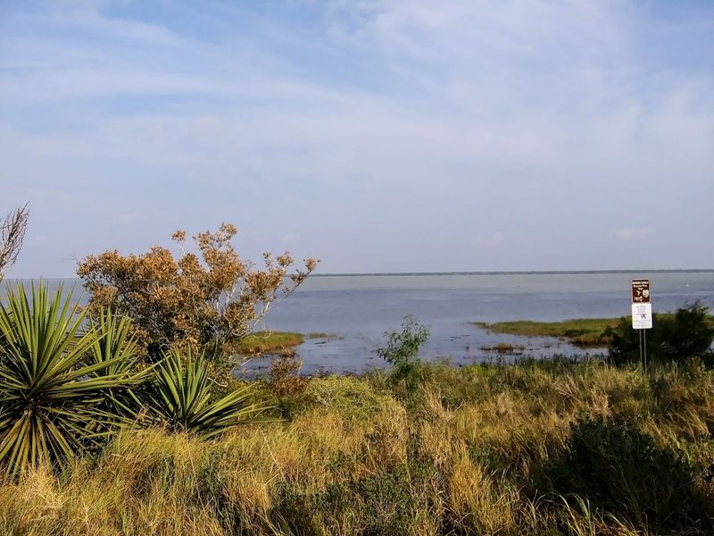 Laguna Atascosa National Wildlife Refuge (Los Fresnos) Laguna Atascosa National Wildlife Refuge (Los Fresnos)