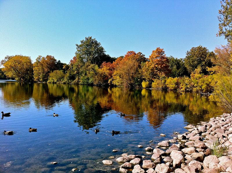 Lake Arthur
