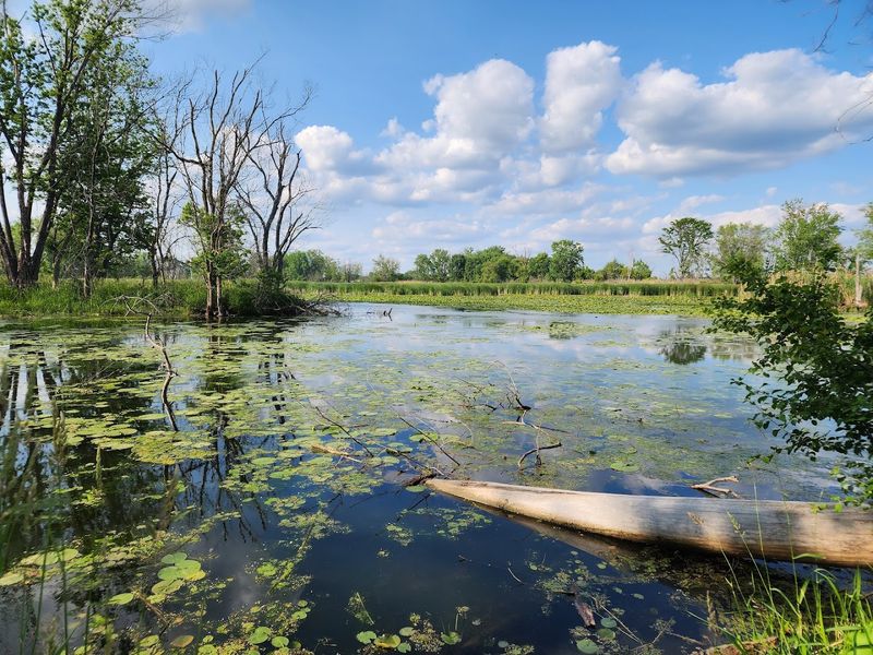 Lake Erie Metropark Marshlands Museum Great Lakes Aquarium