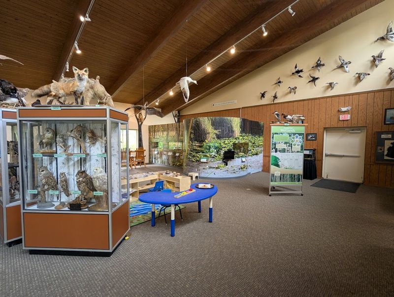 Lake St. Clair Metropark Nature Center Aquatic Exhibits